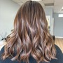 Full Balayage/highlights w/blowdry  ( short - medium hair)