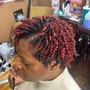 Starter Locs/Twist