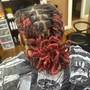 Loc Re-twist and Fade Haircut