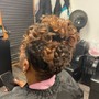 Root Touch Up, Roller Set