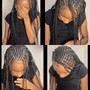 Layered/ Half&Half Braids