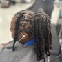 Starter Locs