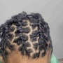 Starter Locs