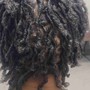 Starter Locs