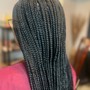 Medium Box Braids