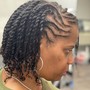 Two Strand twists