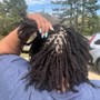 Mini Twists