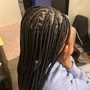 Havana Twists