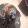 Root Touch Up