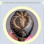 4 feed in braids