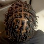 Starter Locs 2 strand twist