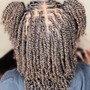 Mini Twists