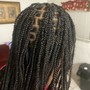 Individual Braids