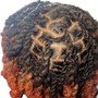 FALL SPECIAL ( wash , retwist & style ) 10.15.2024