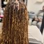 Root Touch Up