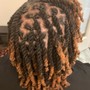 Loc Retwist +  2-Strand Twists