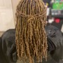 Two Strand Starter Locs