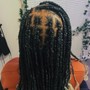 (Medium)Senegalese Twist