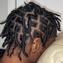 Starter Locs