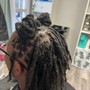 Starter Locs (Medium)