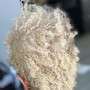 Root Touch Up