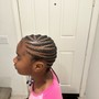 Feed in braids