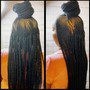 Layered/ Half&Half Braids