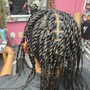 Senegalese Twist