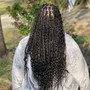 FLIP over Fulani braids