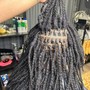 Loc Extensions (Whole Head)