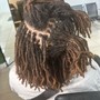 Dreadlocks Retwist