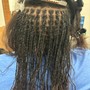 Starter Sister Locs/Microlocs