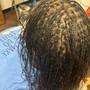 Starter Sister Locs/Microlocs