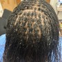 Starter Sister Locs/Microlocs