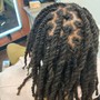 Starter Sister Locs/Microlocs