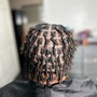 Starter locs