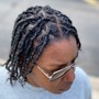 Starter Locs