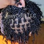 Juicy Locs Re-twist (Ear Length)