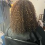 Root Touch Up