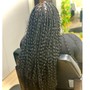 Straight back or Up do / feeding braids