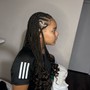 Alicia key braids