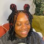 Two Strand Twists