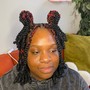 Two Strand Twists