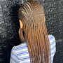 Senegalese Twist  Braids