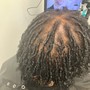 Root Touch Up