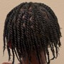 Passion Twist (bob length)