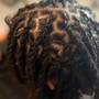 Starter Locs