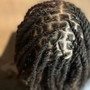 Starter Locs