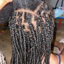 Tree Braids