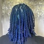 Loc Maintenance (Short- Shoulders)